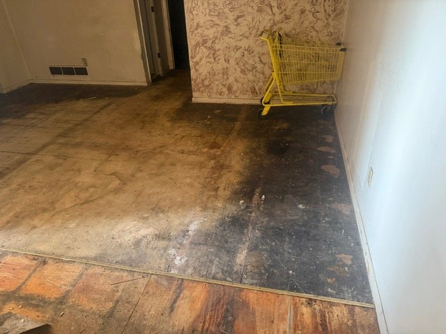 Dirty concrete floor with yellow shopping cart and OSB wall paneling in empty room
